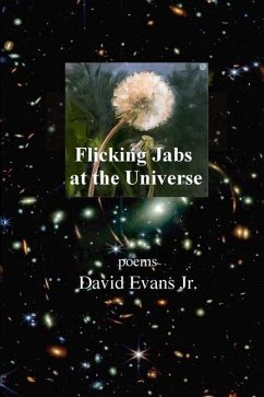 Flicking Jabs at the Universe - Evans, David