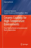 Ceramic Coatings for High-Temperature Environments (eBook, PDF)