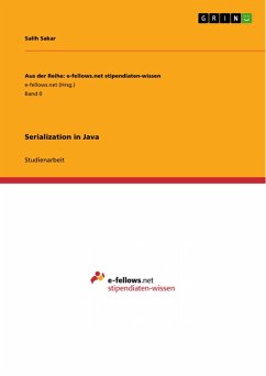 Serialization in Java (eBook, PDF)