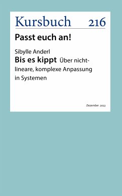 Bis es kippt (eBook, ePUB) - Anderl, Dr. Sibylle