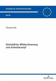 Betriebliche Mitbestimmung und Arbeitskampf (eBook, PDF)