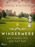 En främling om natten (eBook, ePUB)