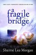 A Fragile Bridge (The Lost Trinkets... - Bild 1