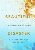 Beautiful Disaster (eBook, ePUB)