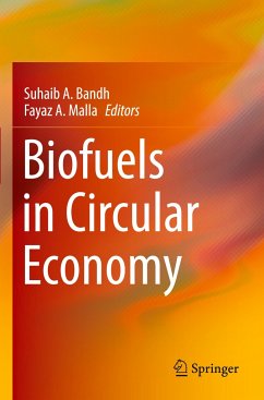 Biofuels in Circular Economy