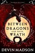 Between Dragons and Their Wrath - Bild 1
