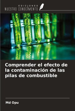 Cover Comprender el efecto de la contaminación de las pilas de combustible