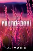 Roundabout Discreet Cover