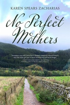 Cover No Perfect Mothers