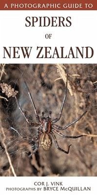 A Photographic Guide to Spiders of New Zealand - Vink, Cor