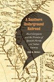 A Southern Underground Railroad