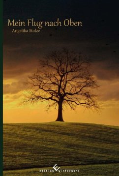 Cover Mein Flug nach oben (eBook, ePUB)