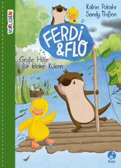 Große Hilfe für kleine Küken / Ferdi & Flo Bd.2 (Mängelexemplar) - Pokahr, Katrin