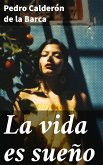 La vida es sueño (eBook, ePUB)