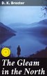 The Gleam in the North (eBook, ePUB) - Bild 1