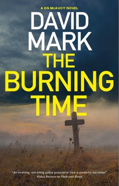 Burning Time (eBook, ePUB) - Mark, David