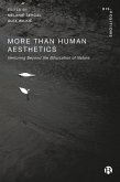 More-Than-Human Aesthetics (eBook, ePUB)