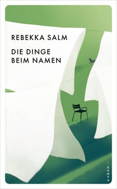 Die Dinge beim Namen (eBook, ePUB) - Salm, Rebekka