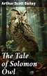 The Tale of Solomon Owl (eBook, ePUB) - Bild 1