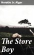The Store Boy (eBook, ePUB) - Bild 1