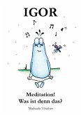 Meditation! Was ist denn das? (eBook, ePUB)