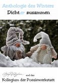 Anthologie des Winters (eBook, ePUB)