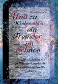 Und zu Weihnachten ein Fremder im Schnee (eBook, ePUB)