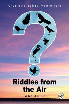 Riddles from the Air - Sebag-Montefiore, Charlotte