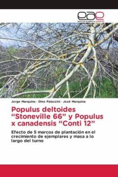 Populus deltoides ¿Stoneville 66¿ y Populus x canadensis ¿Conti 12¿ - Marquina, Jorge;Palazzini, Dino;Marquina, José