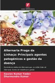 Alternaria Praga da Linhaça: Principais agentes patogénicos e gestão da doença