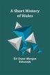 A Short History of Wales - Bild 1