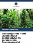 Bioökologie des Hualo Leptodactylus pentadactylus im peruanischen Amazonasgebiet
