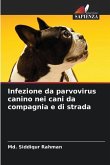 Infezione da parvovirus canino nei cani da compagnia e di strada