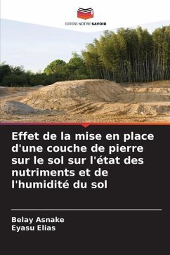 Effet de la mise en place d'une couche de pierre sur le sol sur l'état des nutriments et de l'humidité du sol - Asnake, Belay;Elias, Eyasu