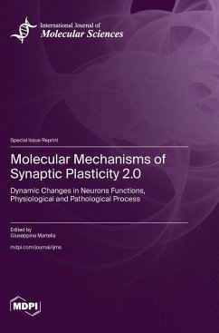 Molecular Mechanisms of Synaptic Plasticity 2.0