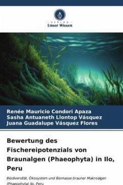 Bewertung des Fischereipotenzials von Braunalgen (Phaeophyta) in Ilo, Peru - Condori Apaza, Renee Mauricio;Llontop Vásquez, Sasha Antuaneth;Vásquez Flores, Juana Guadalupe