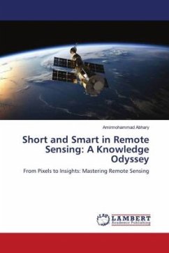 Short and Smart in Remote Sensing: A Knowledge Odyssey - Abhary, Amirmohammad