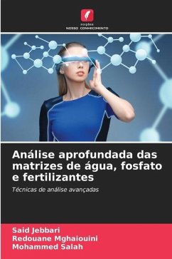 Análise aprofundada das matrizes de água, fosfato e fertilizantes - Jebbari, Said;Mghaiouini, Redouane;Salah, Mohammed