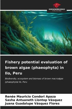 Fishery potential evaluation of brown algae (phaeophyta) in Ilo, Peru - Condori Apaza, Renee Mauricio;Llontop Vásquez, Sasha Antuaneth;Vásquez Flores, Juana Guadalupe