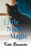 A Little Night Magic (eBook, ePUB)