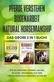 Pferde verstehen   Bodenarbeit   Natural Horsemanship: Das große 3 in 1 Buch! - Wie Sie Ihr Pferd halten, pflegen, trainieren und eine vertrauensvolle Bindung aufbauen (eBook, ePUB)