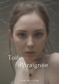 Toile d'Araignée (eBook, ePUB)