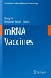 mRNA Vaccines - Bild 1