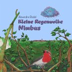 Kleine Regenwolke Nimbus