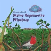 Kleine Regenwolke Nimbus Kleine Regenwolke Nimbus