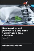 Begomovirus nel pomodoro e strumenti "omici" per il loro controllo