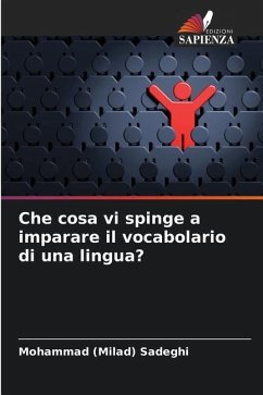 Che cosa vi spinge a imparare il vocabolario di una lingua? - Sadeghi, Mohammad (Milad)