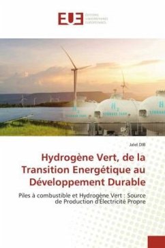 Hydrogène Vert, de la Transition Energétique au Développement Durable - Dib, Jalel
