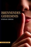 Brennendes Geheimnis (eBook, ePUB)