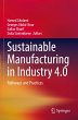 Sustainable Manufacturing in Industry... - Bild 1